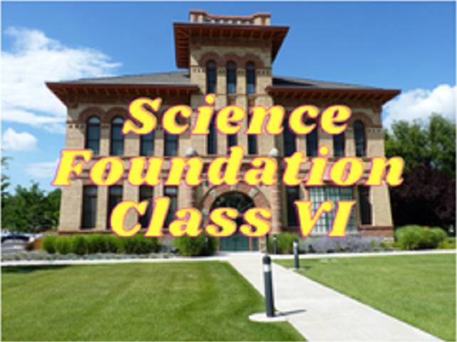 Science (Foundation) - Class VI